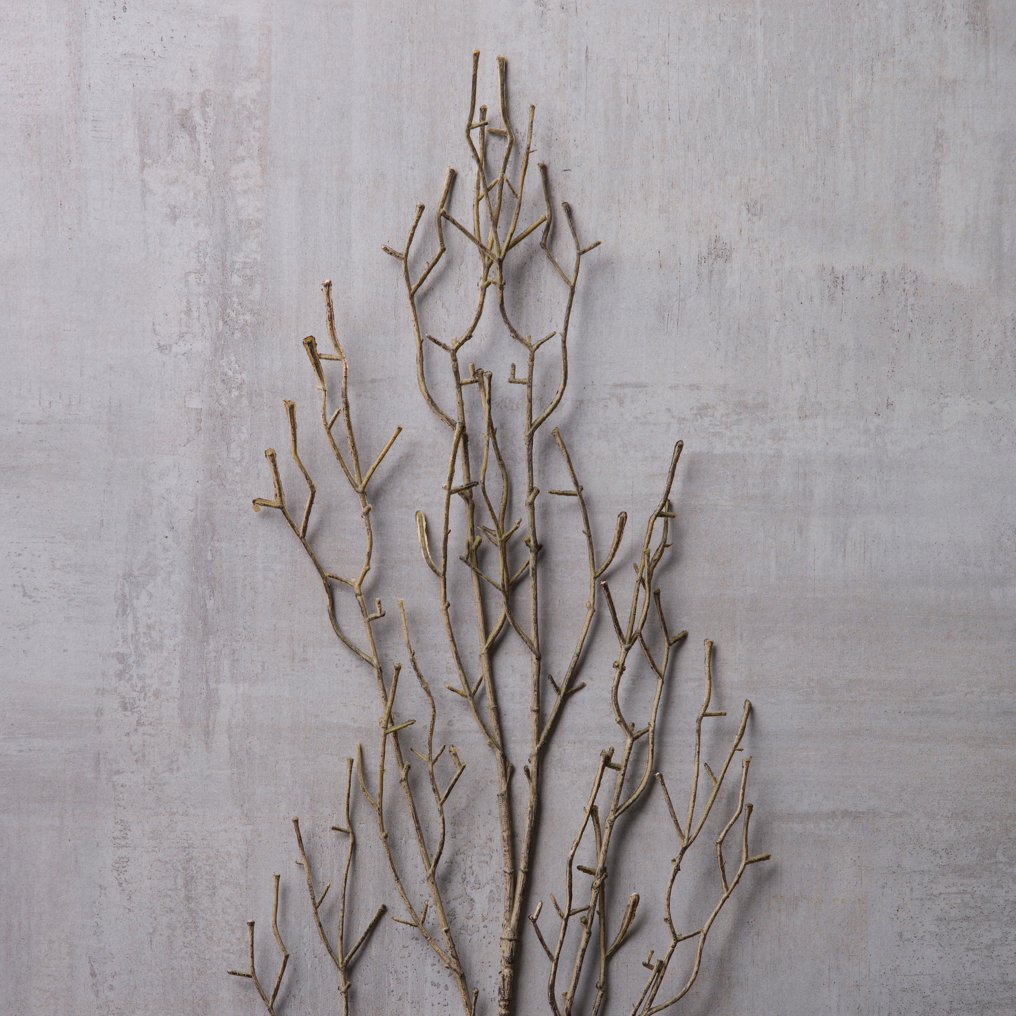 Brown Twig Stem by Ashland®